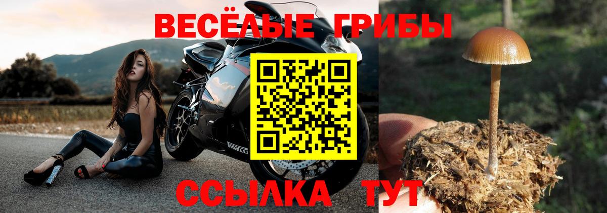 Кокаин  Гашиш  Метамфетамин  Светлоград  МЕФ кристаллы  Вход с VPN  A PVP СК  